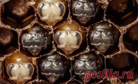 Pinterest: инструмент для поиска и хранения интересных идей