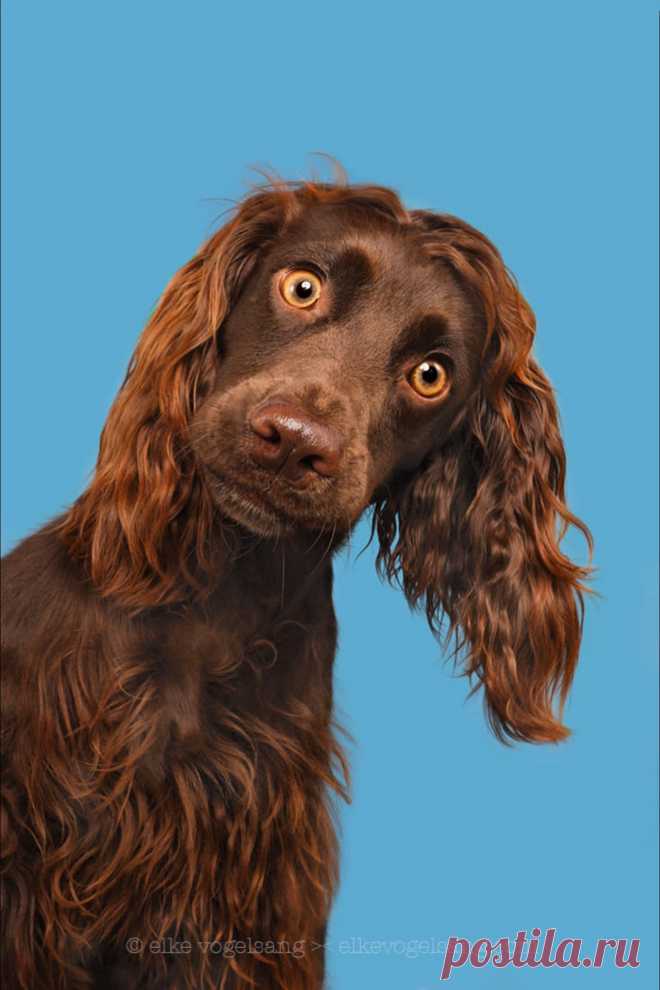 gregorio catarino (@gregcatarino1) / Twitter