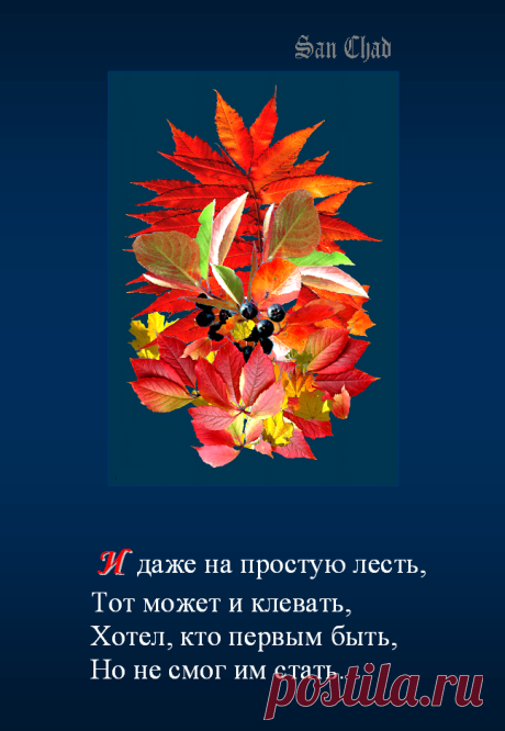 Софиты - от слова София-мудрость * поэтические строки о мудрости.