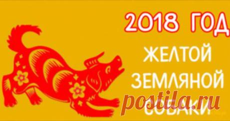 Гороскоп на 2018 год Желтой Земляной Собаки