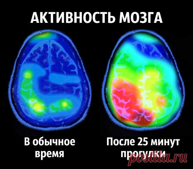 Как стать счастливым раз и навсегда