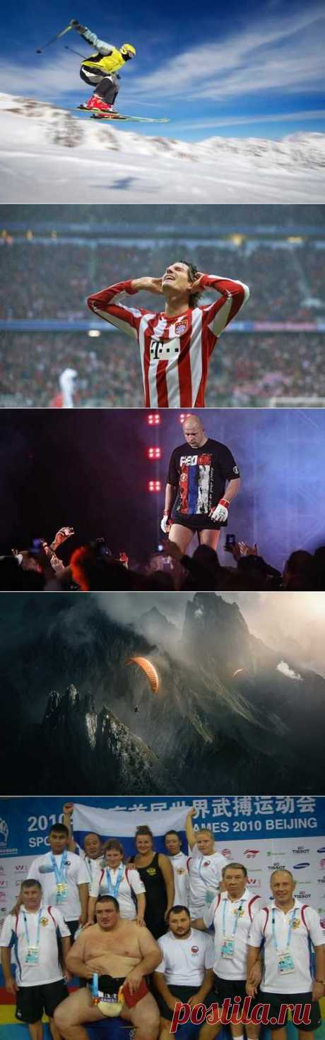 Баскская пелота, Бокс французский, Лаун-боулинг, Зимнее плавание. (1/1) - Спортивный форум. - Спортивный сайт