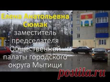 Сюмак Елена Анатольевна, Общественная палата Мытищи