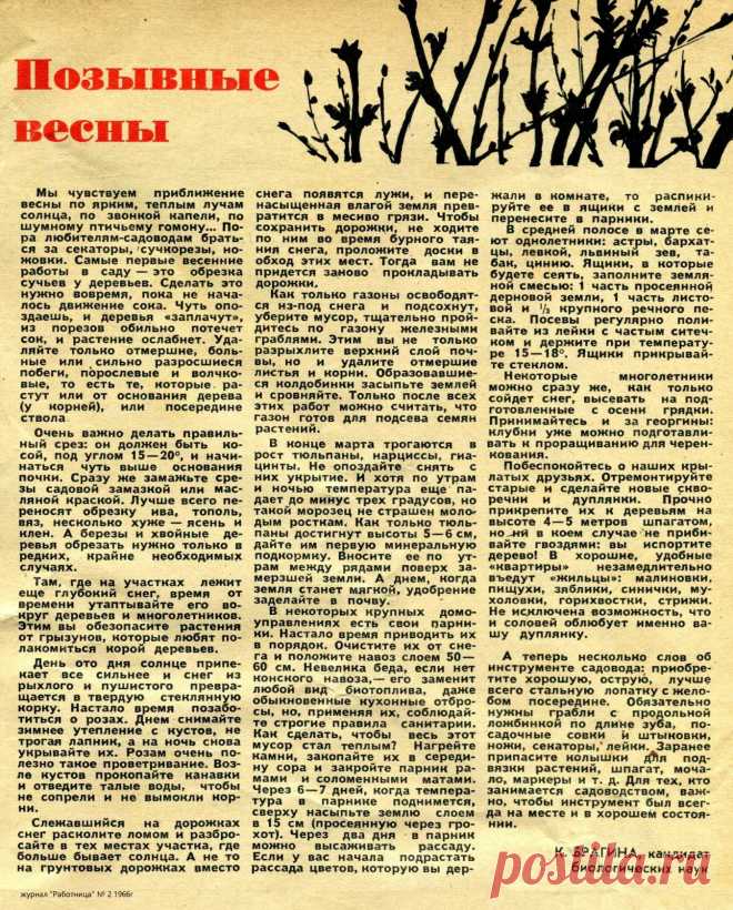Позывные весны