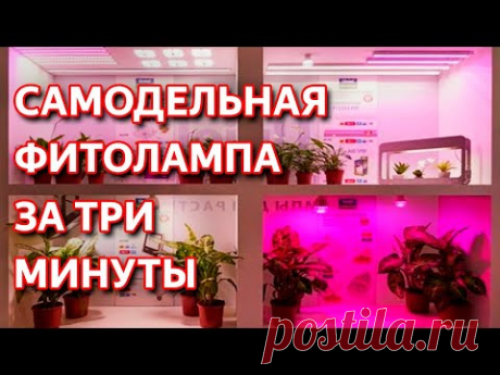 Фитолампа своими руками. Как сделать фитосветильник для растений самому. Самодельная фитолампа.