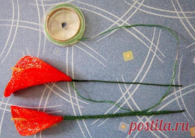 Ярко красные каллы, автор Светлана Лана