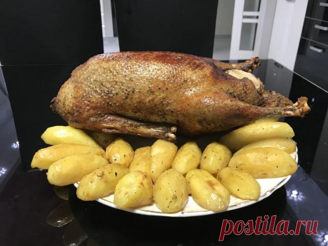 Рождественская утка с яблоками и картофелем - Простые рецепты Овкусе.ру