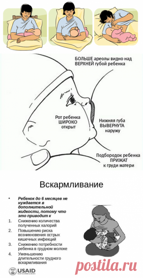 Как кормить грудью новорожденного: позы, правильное прикладывание, рекомендации ВОЗ | Дуэт душ