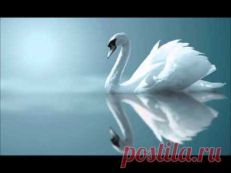 ▶ Красивая музыка - YouTube