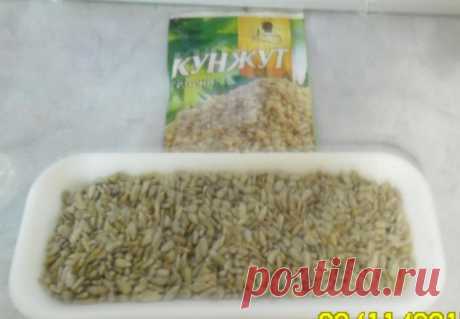​ЗАКВАСКА для РЖАНОГО БЕЗДРОЖЖЕВОГО ХЛЕБА / Болталка / Кулинария
