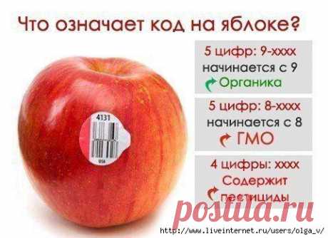 Лайфхак-способ сделать жизнь лучше, отойдя от шаблонов.