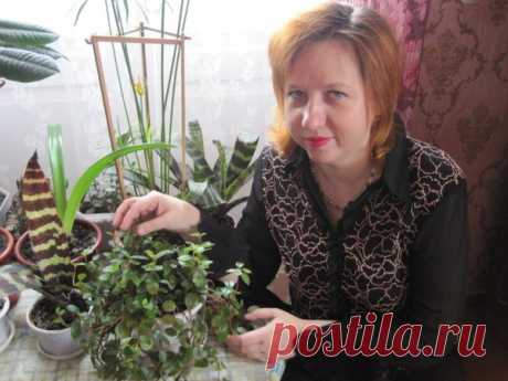 Вязание | Ирина Донцова | Простые схемы. Экономим время на Постиле