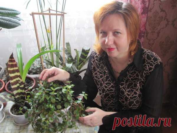 Вязание | Ирина Донцова | Простые схемы. Экономим время на Постиле