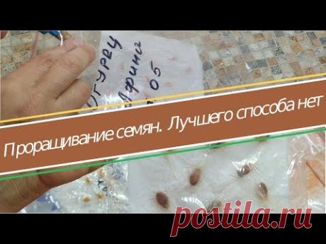 Посев семян в улитку - я отказалась от этого способа, когда попробовала совершенно новый способ - YouTube