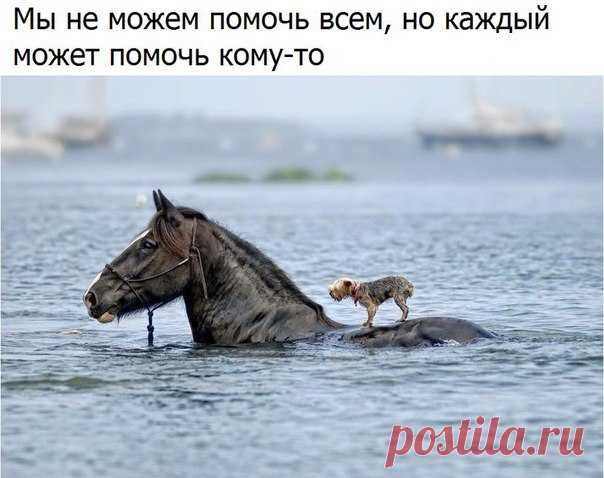 Любовь Колесникова