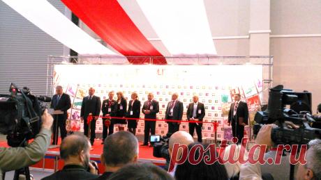 открытие выставки