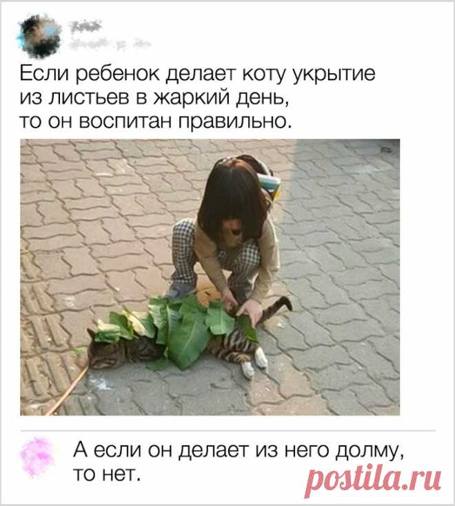 20 комментариев пользователей, которые могут превратить в шутку все что угодно