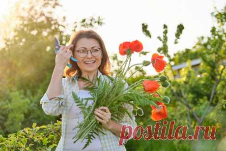 Открываем дачный сезон: как все успевать и не слишком уставать