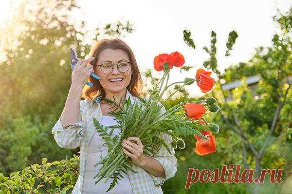 Открываем дачный сезон: как все успевать и не слишком уставать
