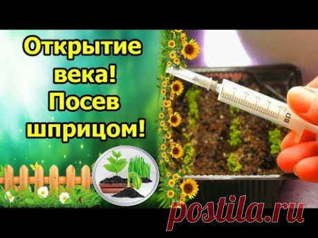 ИЗОБРЕТЕНИЕ ВЕКА! ШПРИЦ ДЛЯ ПОСЕВА МЕЛКИХ СЕМЯН ЛОБЕЛИИ, ПЕТУНИИ, ЗЕМЛЯНИКИ! ПОСЕВ ЛОБЕЛИИ ШПРИЦОМ!