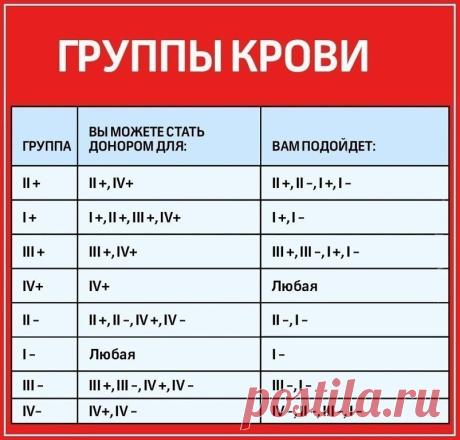Очень полезная информация!

Сохраняйте на страничку