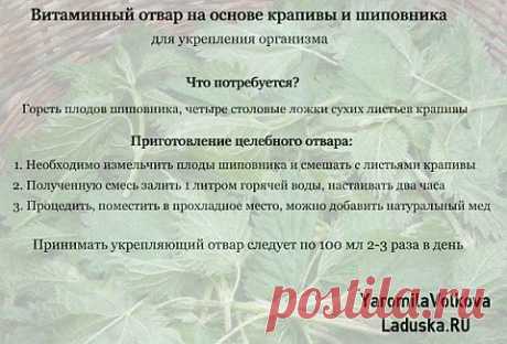 Уникальный отвар для укрепления организма | Секреты красоты и здоровья