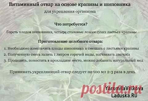 Уникальный отвар для укрепления организма | Секреты красоты и здоровья