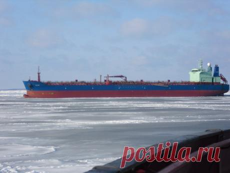 Основной альбом группы | 742 фотографии