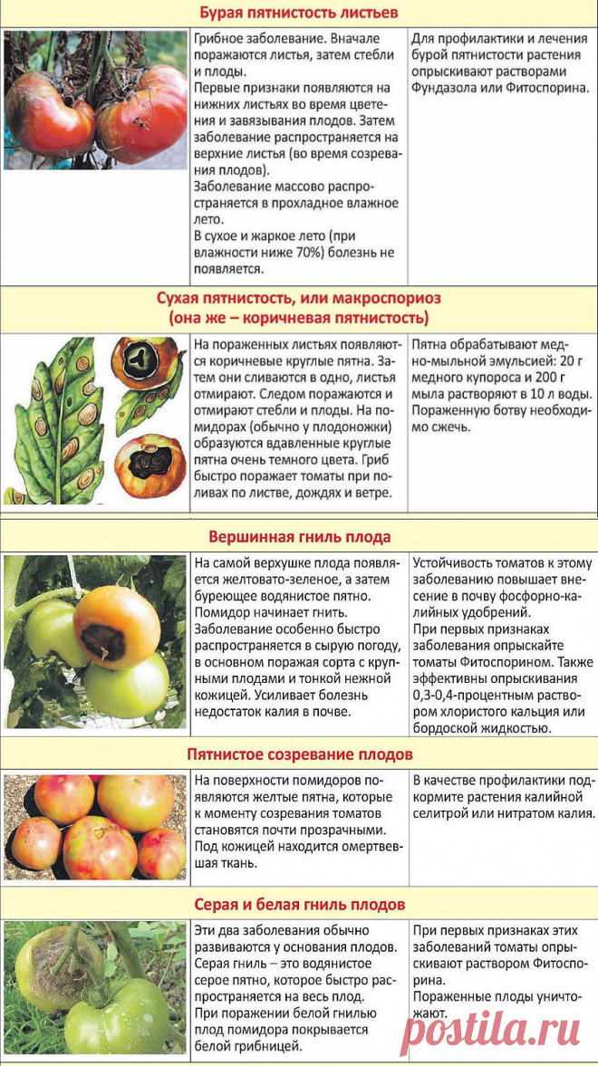 (67) Одноклассники