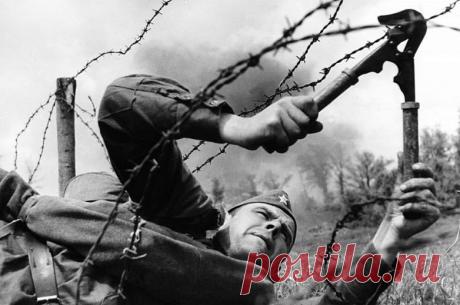 Спартанец из 1941-го года / Назад в СССР / Back in USSR