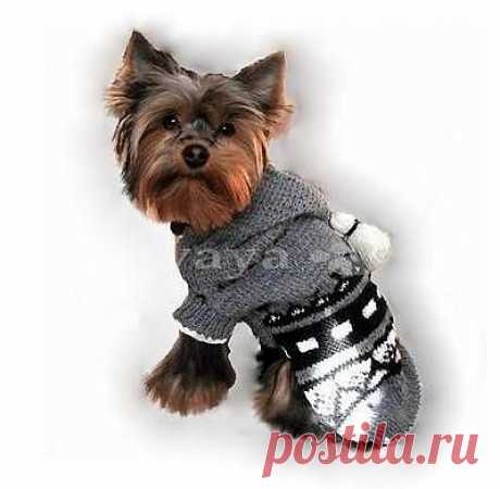 Вязанье для собачек.