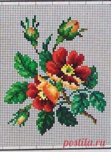 Красивая вышивка с цветами. Схемы