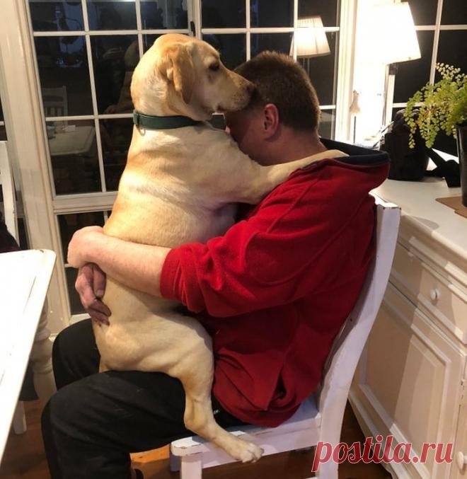 20 человек, которые были против «этих» животных в доме, а теперь и дня без них не проживут | Рекомендательная система Пульс Mail.ru