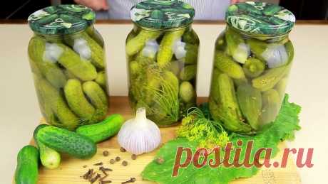 Хрустящие маринованные огурцы в банках на зиму – самые вкусные рецепты Хрустящие маринованные огурцы в банках на зиму – самые вкусные рецепты. Как приготовить горячим и холодным способом, с уксусом и лимонной кислотой.