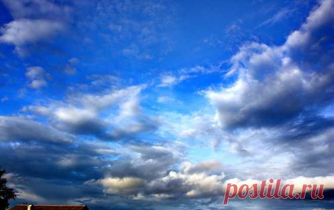 Яндекс.Фотки