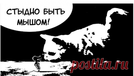 Блог Кота Моти.: 2016