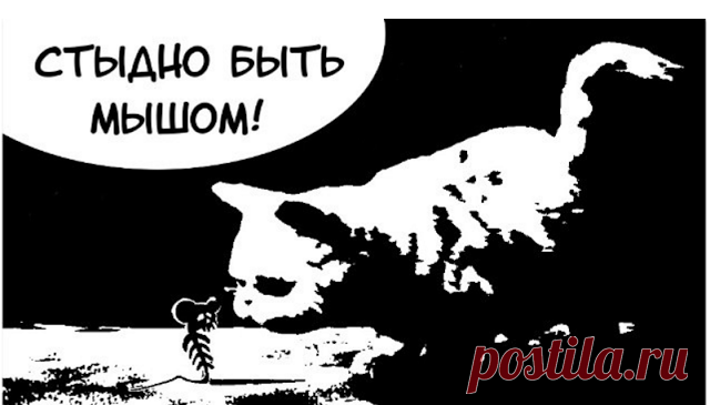 Блог Кота Моти.: 2016