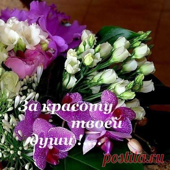 пожелания - 140 фото. Фотографии Елена Данилова.