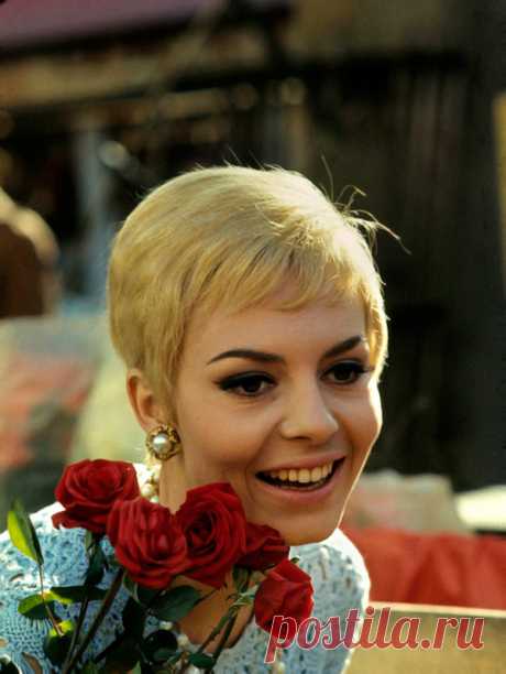 Невероятно красивая женщина, идеал женской красоты и обаяния, смотришь на нее, как на прекрасный цветок и не можешь насмотреться.

Мишель Мерсье по праву входит в десятку самых красивых женщин всех времен и народов. Сколько бы не было прекраснейших девушек в мире, таких как Мишель Мерсье больше не существует. Идеал красоты, несмотря на то, что вкусы меняются, но этот идеал остается на самом высочайшем пьедестале.