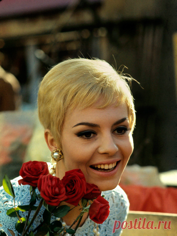 Невероятно красивая женщина, идеал женской красоты и обаяния, смотришь на нее, как на прекрасный цветок и не можешь насмотреться.

Мишель Мерсье по праву входит в десятку самых красивых женщин всех времен и народов. Сколько бы не было прекраснейших девушек в мире, таких как Мишель Мерсье больше не существует. Идеал красоты, несмотря на то, что вкусы меняются, но этот идеал остается на самом высочайшем пьедестале.