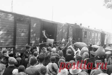 Как в 1950 году депортировали население западных районов Псковской области | Выживи сам