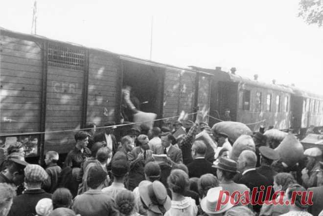 Как в 1950 году депортировали население западных районов Псковской области | Выживи сам