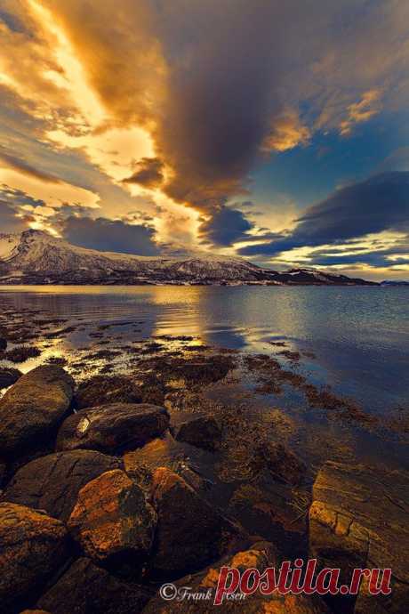 Фотографии пользователя Frank