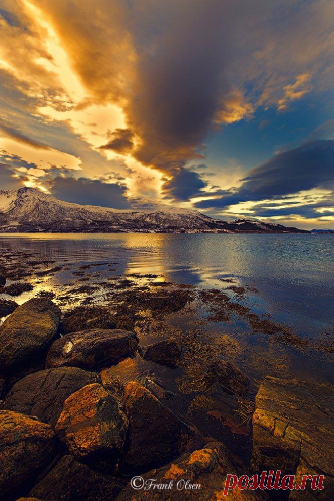 Фотографии пользователя Frank