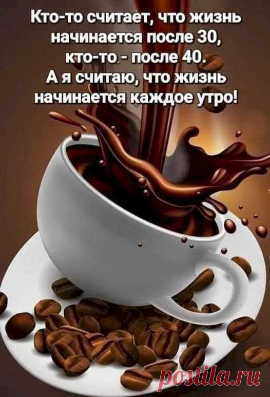 60478816.jpg (526×773)