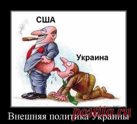 ДОЖИЛИСЬ  (братья  по  крови)