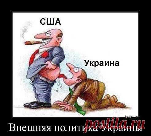 ДОЖИЛИСЬ  (братья  по  крови)