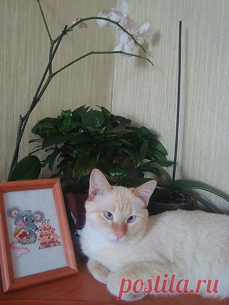 За что наказали.