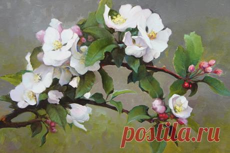 рисунки цветущих яблонь — Яндекс: нашлось 3 млн результатов