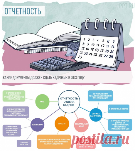 Какие отчеты и куда сдает отдел кадров в 2023 году